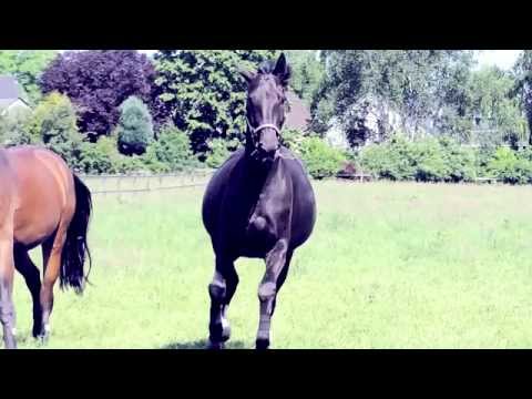 This is how we do - summer 2 0 1 4