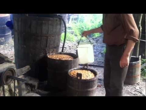 La Palincaria Cristiorul de Sus-1 tarabeiusului.ro.MOV