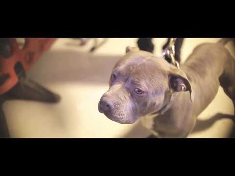 Trapz - Don't worry bout that | @PacmanTV @TrapzLDN