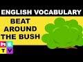English Idioms with Meaning | Beat around the Bush