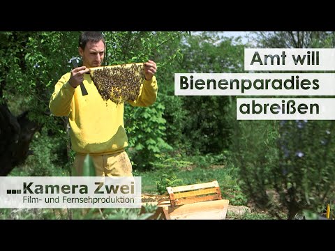 Behörden-Posse: Umweltamt bemängelt zu viel Umweltschutz | Kamera Zwei