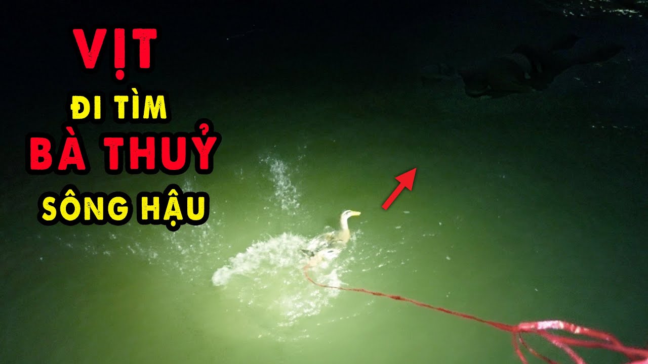 Vớt Xác Trôi Đêm Sông Hậu và gặp Thuỷ Thần ở Ngã Ba Sông