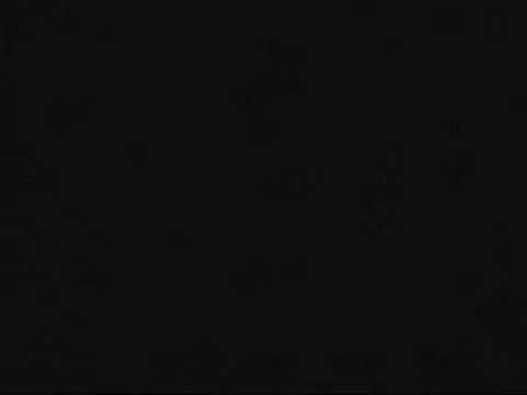 prodigy vs romica puceanu