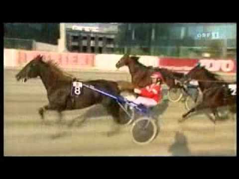 Graf Kalman Hunyady 2009 -Rocket Power