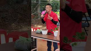 2024花現中壢農遊趣DIY活動～天天吃草莓盆栽種植之育苗及土壤環境影響 #美姬草莓 #玄盛發農場