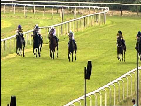 Dresdner Rennverein - 13.06.2015 - 7.Rennen