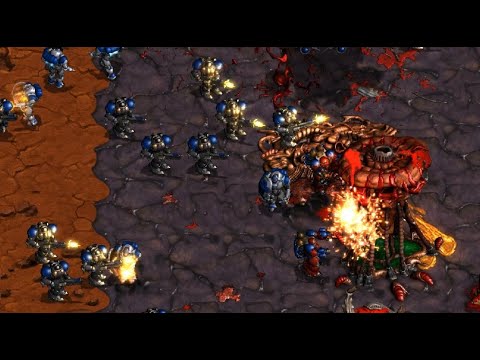 CASTERMUSE STARLEAGUE S3 - Larva 🇰🇷 (Z) vs Sorry 🇰🇷 (T) on Grand Line - StarCraft - Brood War