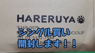 MTG シングル買いを開封するぜ！！「元」海外在住