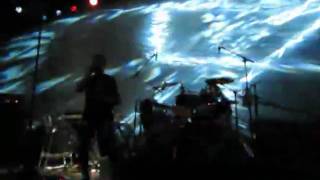 Paquidermo- Chancho en Piedra (scd vespucio)