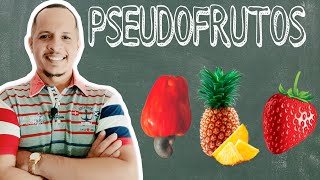 PSEUDOFRUTOS | Falsos Frutos | Fruta ou Fruto?