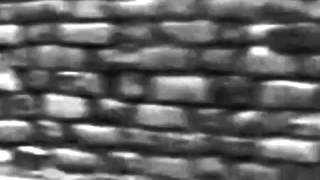 The Glass Set - Elephant and Castle