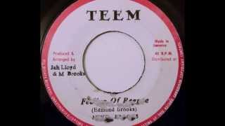 MIKE BROOKS - Feeling Of Reggae [c.1978]