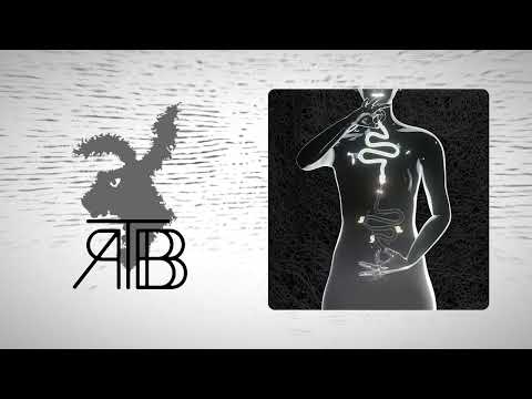 R a B B I T - "Frecvențe"
