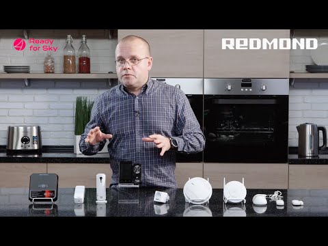 Миниатюра изображения товара Умная климатическая станция Redmond Skyclimate RSC-51S (белый)