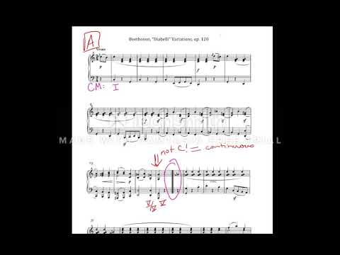 Binary Form Theme Analysis