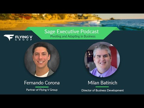 Pivoting and Adapting in Business: Milan Batinich: Ep. #22: The Sage Executive Podcast