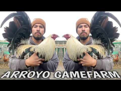 Arroyo Farm | California