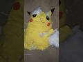 Pikachu Has Fainted