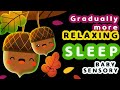 💤 Baby Sensory - Bedtime calming video - Infant visual Stimulation -  Cute Autumn 🍁🌰🍂