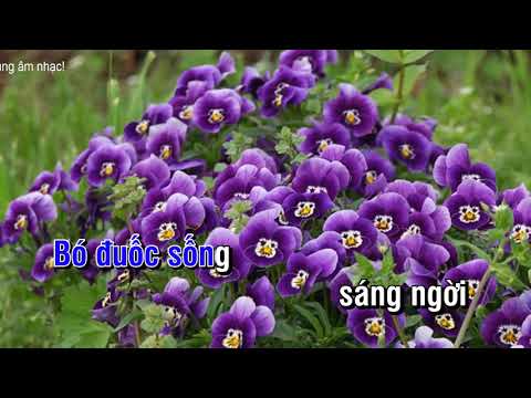 Karaoke Lê Văn Tám   Phong Nhã   Jack Nguyễn