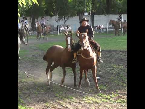 Desfile previo al broche de oro en la 4º Fiesta de la Tradición en Crespo Entre Rios