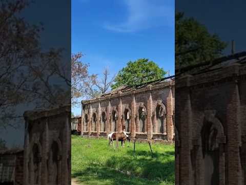 Caballo y Taller Ferroviario en Altamirano partido de Coronel Brandsen Buenos Aires Argentina