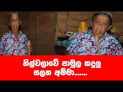 නිල්වලාවේ අතර මං වු අම්මා