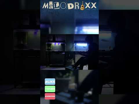 PART-17, From the guitar to the appearance of a luxurious aquarium, #music, #enjoy, #enjoymusic,