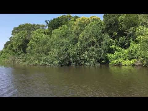 Navegada Boca del Rosario Colonia  2017