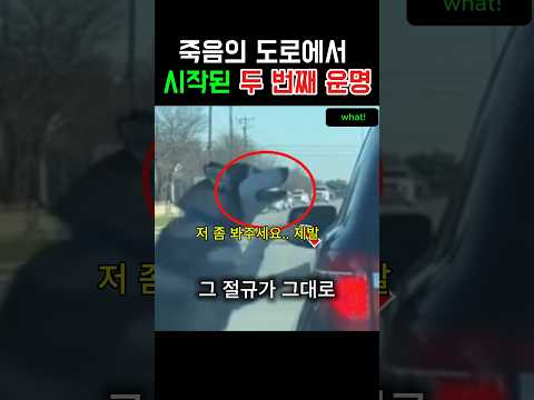 강아지가 떠나가는 차를 붙잡으려 할 때 일어난 일 #반전 #쇼츠