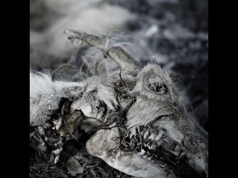 Aphonic Threnody — When Death Comes (2014)