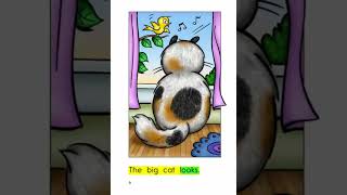 razkid A the big cat