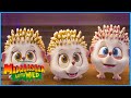 Naughty Hedgehogs Madagascar A Little Wild DreamWorks Madagascar