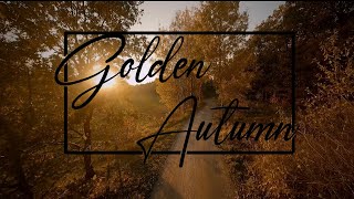FPV Golden Autumn '21