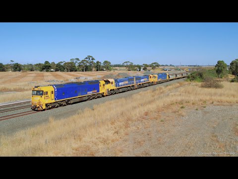 9154 Broad Gauge Grain Train Overtakes 7734v Standard Gauge Grain Train (21/3/2024) - PoathTV