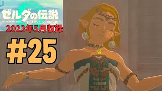 [tk25]ゼルダの伝説ティアーズオブザキングダム実況Part25 ハイラル城の決戦！