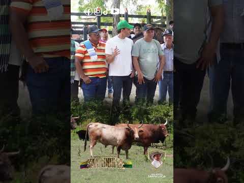 Ganadería Santa Lucía para cerrar temporada en San Onofre 2026.