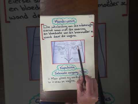 Gr.9 Die Voortplantingstelsel (1)