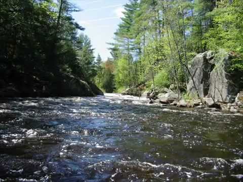 Pachelbel - Canon In C Major Remix