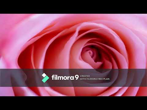 Motta Paiyan Motta Paiyan Song