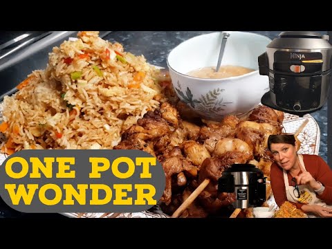 Ninja ONE POT Chicken SATAY w. VEG Rice in 8 mins!!