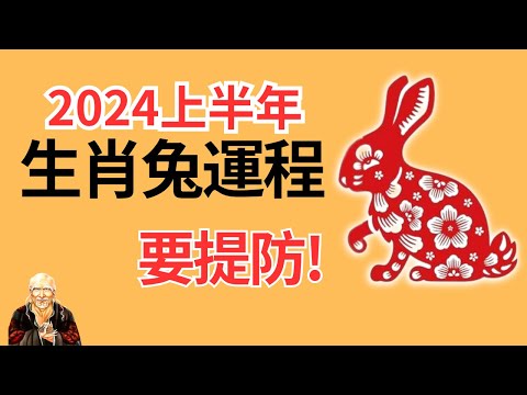 生肖兔2024