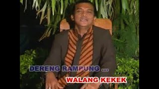 Download lagu Walang Kekek - Didi Kempot mp3 Download lagu Walang Kekek - Didi Kempot mp3