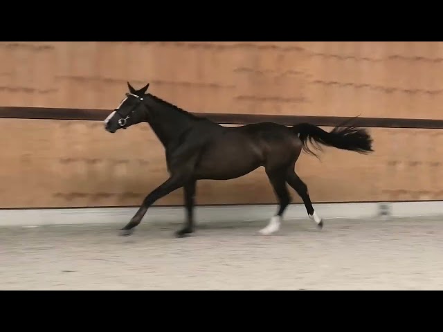 jumping