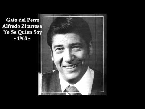 Gato Del Perro video