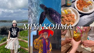 初めての宮古島旅行🏝️✨3泊4日じゃ足りなかった~念願のウミガメ🐢ガーリックシュリンプ🦐カフェ🍨10月の宮古島🤍미야코지마 여행 브이로그