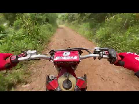 Trilha em erval cachorro loko 01