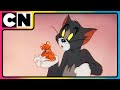 Tom And Jerry Nibbles To The Rescue ️ Compilation Cartoon For Kids Cnindia