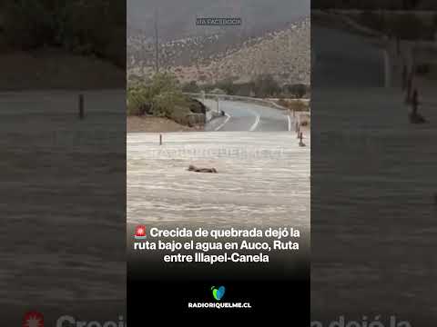 🚨 Crecida de quebrada en Aucó dejó bajo el agua la ruta entre Illapel y Canela #shorts