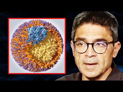 Cardiologist Explains Why LDL Is the Other GOOD Cholesterol (Your Doctor Is Wrong) | Dr. Nadir Ali